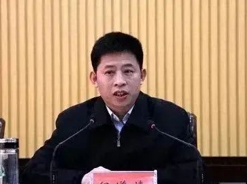 天门市委书记纪道清召开农村能源革命试点项目建设